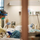 Image for article titled Repurposed Arthritis Drug Lifesaving for Severe Covid-19, UK Trial Finds